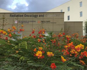Barrow Neurological Institute